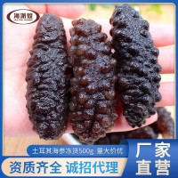 土耳其冰島米刺參 希臘刺參餐飲食材批發(fā) 500g袋裝凍干海參水產(chǎn)