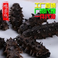 大連純淡干海參 深海海參干貨50g/件 貨源穩(wěn)定廠家直銷可一件代發(fā)