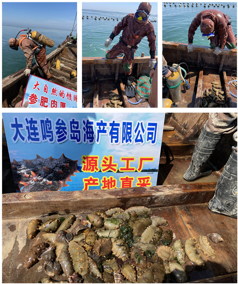 微信圖片_20210523130958_副本88