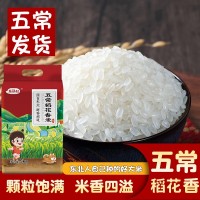 五常精選稻花香10斤當季新米10斤東北大米長粒香米產(chǎn)地直供包郵批