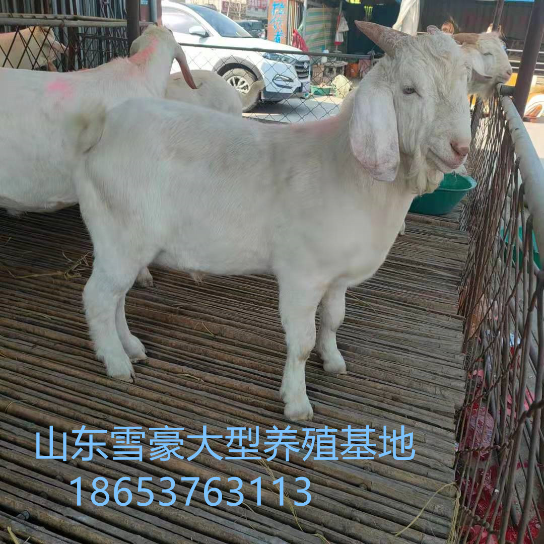 微信圖片_20210218115434.jpg