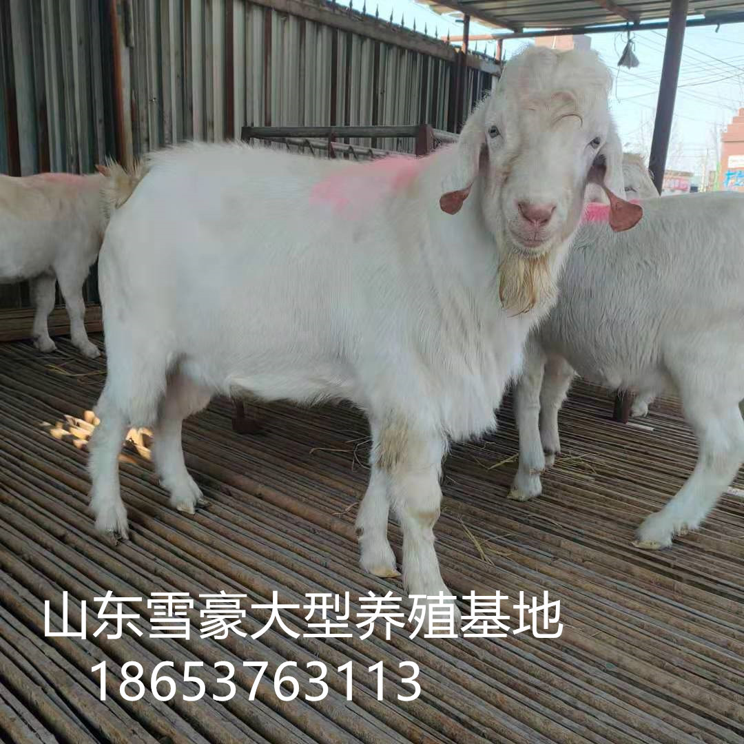微信圖片_20210218115440.jpg