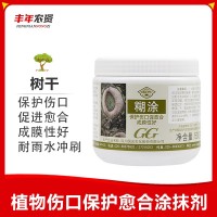 國(guó)光糊涂愈傷涂膜劑大樹傷口愈合劑大樹涂膜劑樹木涂抹劑500g