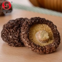 特價包郵200g剪腳香菇南北干貨 黑面香菇散裝 農(nóng)產(chǎn)品香菇特產(chǎn)蘑菇