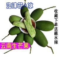 云南永德生芒果5斤包郵酸芒果孕婦新鮮水果野青芒凈重1/3斤包郵