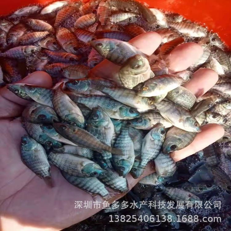 微信圖片_20220303105714