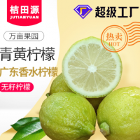 新鮮香水檸檬5斤包郵二級(jí)果無籽四季奶茶店專用薄皮厚皮青黃檸檬