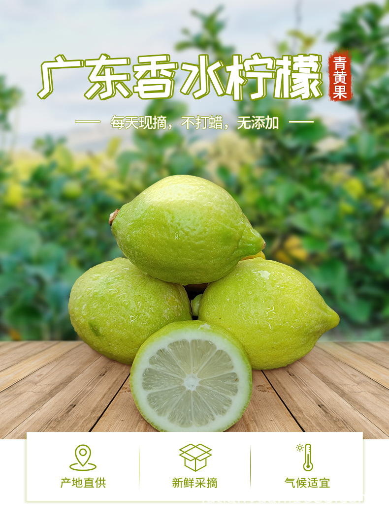 詳情-青黃果12.10(1)_01.jpg