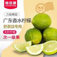 正宗產(chǎn)地廣東當(dāng)季香水檸檬次一級(jí)果新鮮現(xiàn)摘奶茶店用廠家直銷批發(fā)