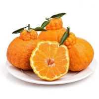 【品質(zhì)果】不知火丑橘四川蒲江當(dāng)季水果現(xiàn)摘現(xiàn)發(fā) 一件代發(fā)