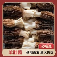 批發(fā)干貨鮮羊肚菌滋補(bǔ)酒店食材干貨散裝山貨煲湯羊肚菌干貨羊肚菌