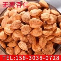 新品無(wú)殼杏仁 簡(jiǎn)包裝可口開(kāi)口杏仁 休閑零食 廠家供應(yīng)