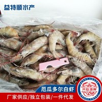 厄瓜多爾白蝦南美大蝦 新鮮美味厄瓜多爾白蝦新鮮速凍海鮮水產(chǎn)