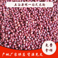 紅豆大量批發(fā) 原料豆類粗糧 五谷雜糧 嬰幼兒傷員病號(hào)改善伙食