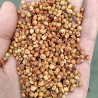 釀酒專用  酒廠大量批發(fā) 寵物飼料批發(fā) 量大從優(yōu) 可議價(jià)