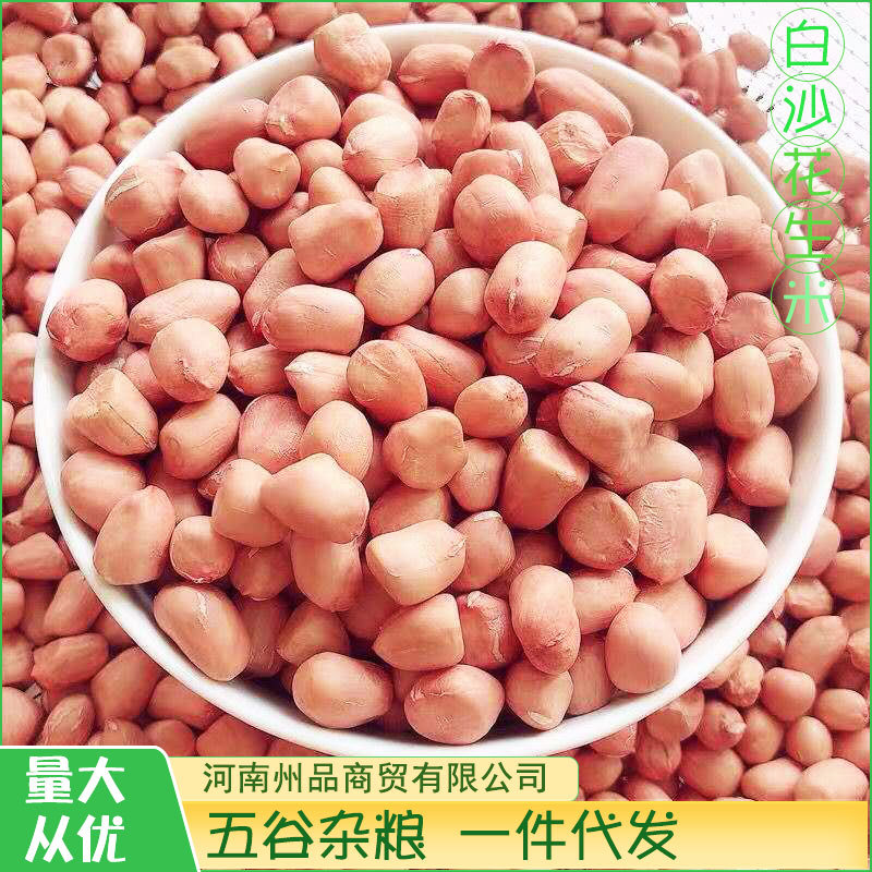 主圖2