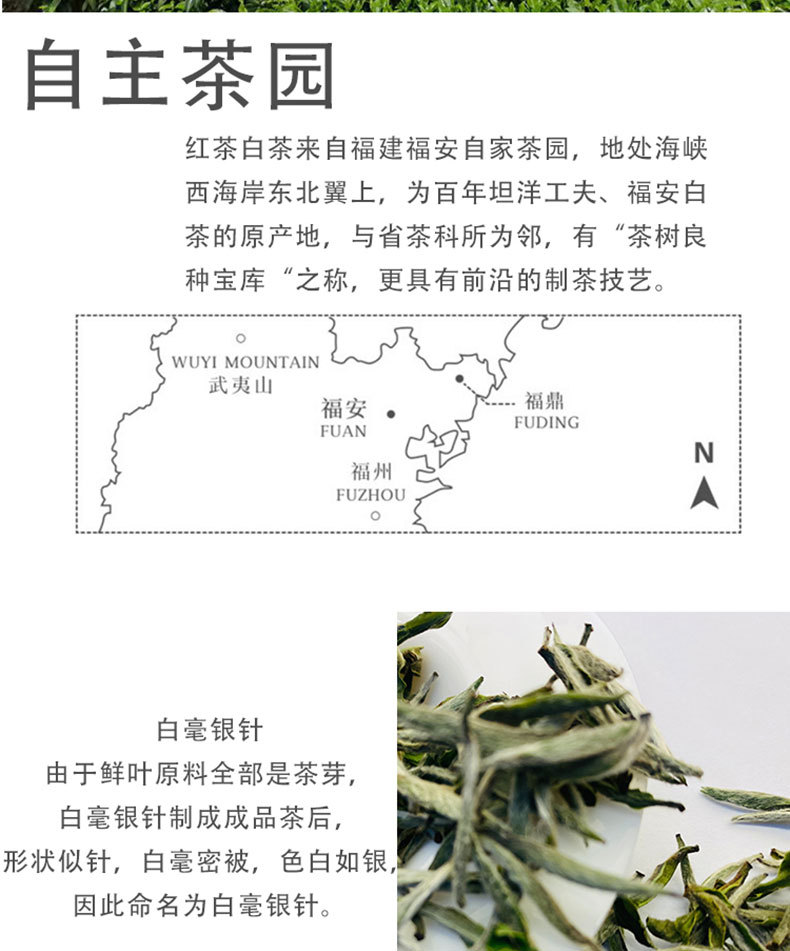 畫板-1_09.jpg