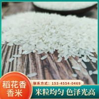 現(xiàn)貨供應稻花香米 農家香米15kg 長粒xian米 良優(yōu)米 大米廠家批發(fā)