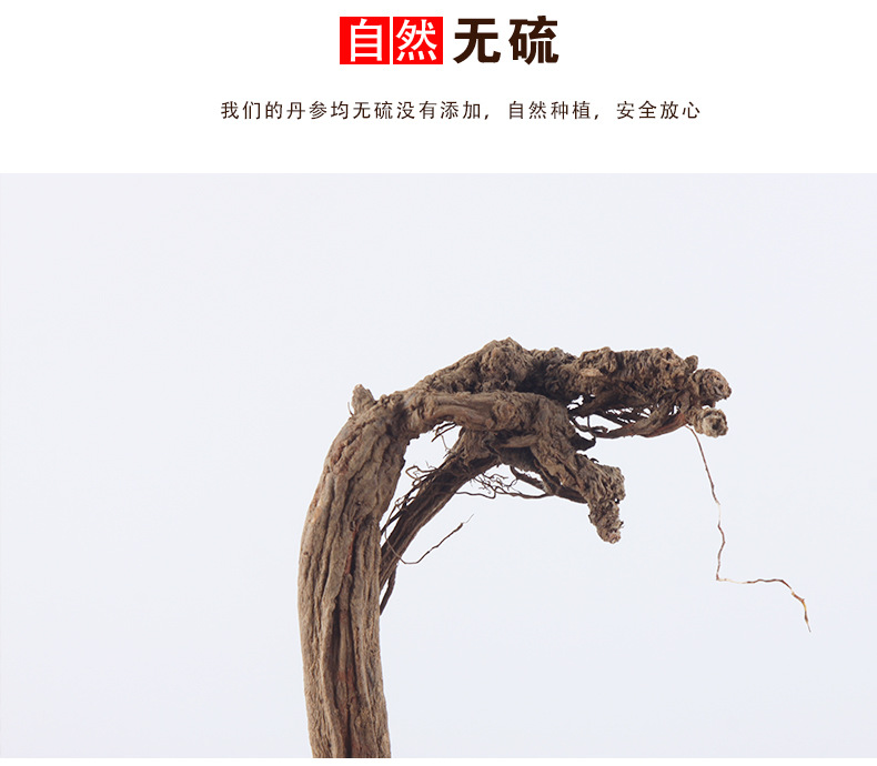 丹參_10.jpg