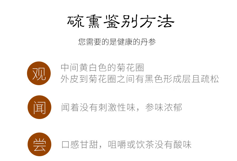 丹參_05.jpg