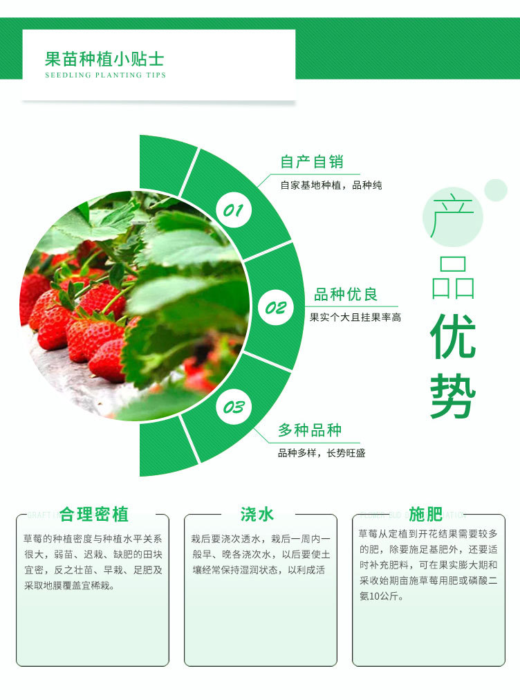 1、草莓_06