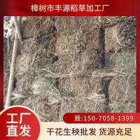 壓捆花生秧 干花生秧 牛羊兔青貯 植物性飼料 植物性干飼料