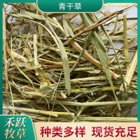 青干草牧草飼料干青草 牛羊草料蘆葦草干草植物性飼料