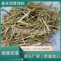 提摩西草奶牛梯牧草草段短方便喂食草質(zhì)軟桿葉綠適合各種動(dòng)物食用