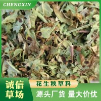 正陽花生秧牧草牛羊草料 廠家批發(fā)動(dòng)物飼料 牛羊青貯花生秧粗飼料