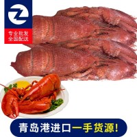現(xiàn)貨供應(yīng)保稅區(qū)冷凍海鮮波士頓龍蝦 進(jìn)口冷凍龍蝦 支持定制