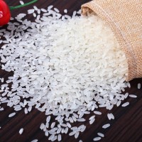 壽司專用米300g 紫菜海苔包飯食材壽司米料理材料壽司 料理大米