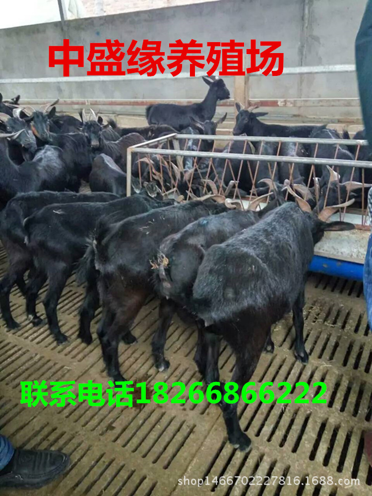 mmexport1475799709563