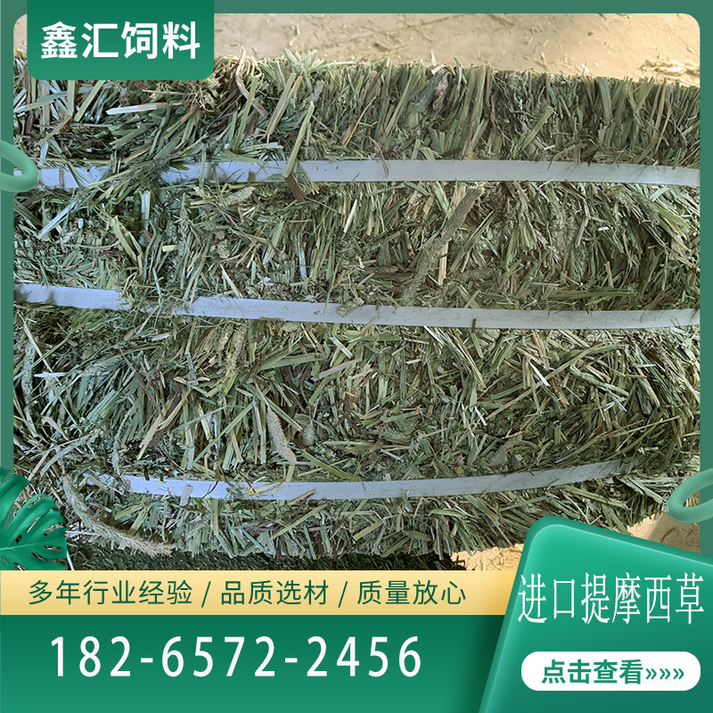 提摩西2