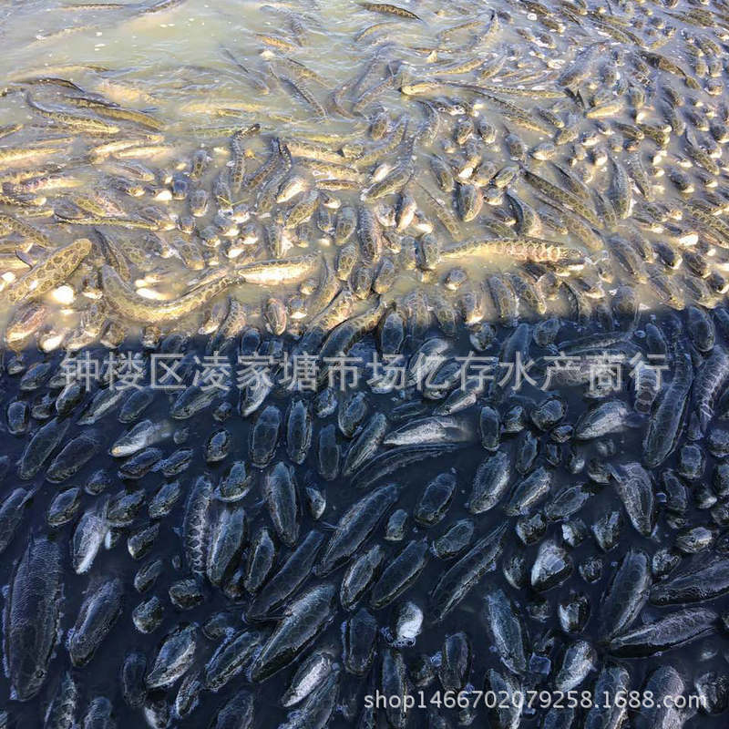 IMG_1192_副本