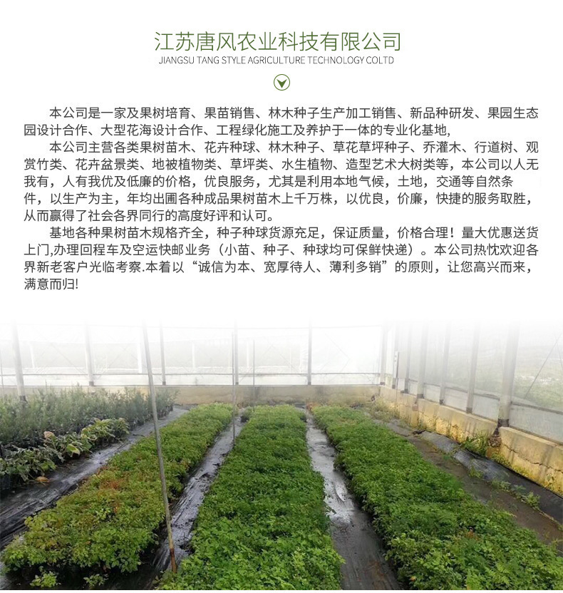 宇嬌1