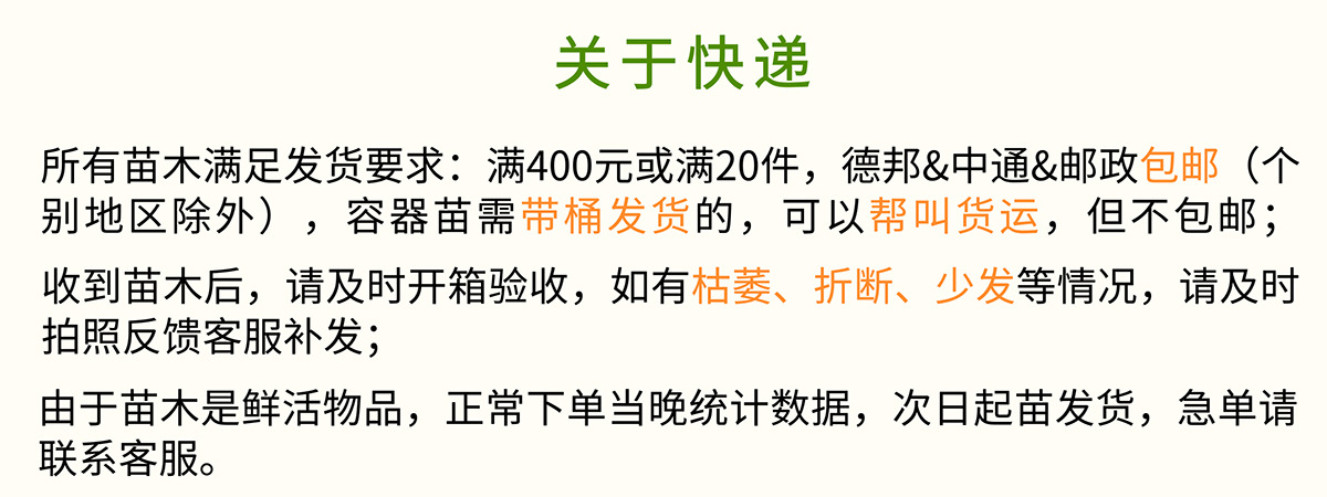 通用詳情頁_03