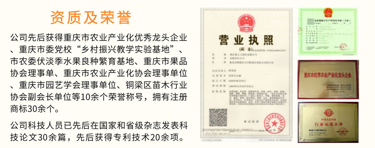 通用詳情頁_09