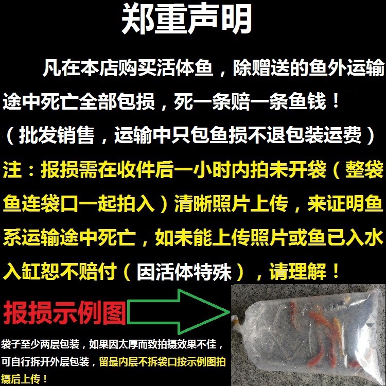 聲明（阿里）