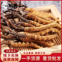 冬蟲夏草批發(fā)青藏蟲草西藏冬蟲夏草產(chǎn)地直供蟲草茶分銷外貿(mào)