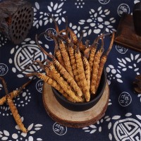 西藏那曲蟲(chóng)草 藏民家中采購(gòu)冬蟲(chóng)夏草 產(chǎn)地店鋪干貨現(xiàn)貨批發(fā)代發(fā)
