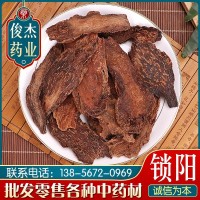 中鐵中藥材批發(fā)鎖陽片 鎖陽泡酒料各種規(guī)格量大從優(yōu)鎖陽