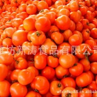 保鮮西紅柿出口濰坊新濤食品（資質(zhì)工廠、常年加工）