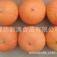 保鮮南瓜出口臺(tái)灣濰坊新濤食品（基地種植、廠家直供）