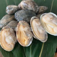 凍煮真空花蛤 花甲 熟凍 開袋即食 出口品質(zhì) 吐沙干凈 東港直供
