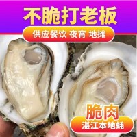 夜市擺地攤湛江生蠔鮮活燒烤店整箱商用產(chǎn)地批發(fā)肉大量乳山特大