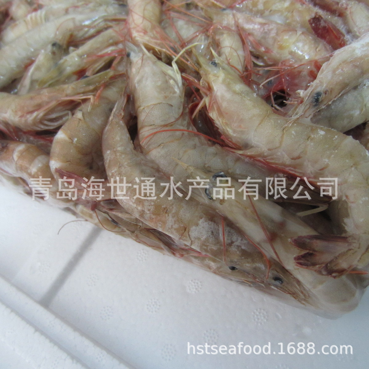 麻連頭蝦2.JPG