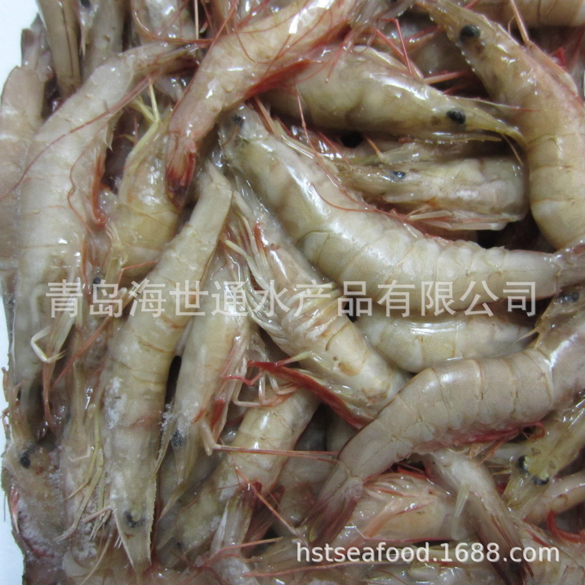 麻連頭蝦4.JPG