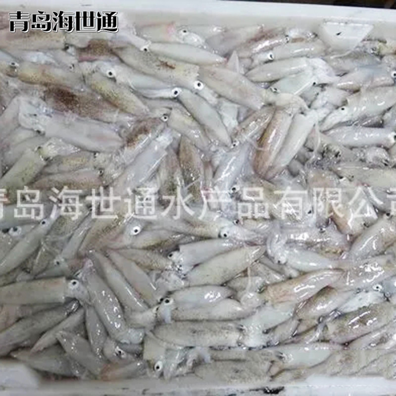 筆管魚3.jpg