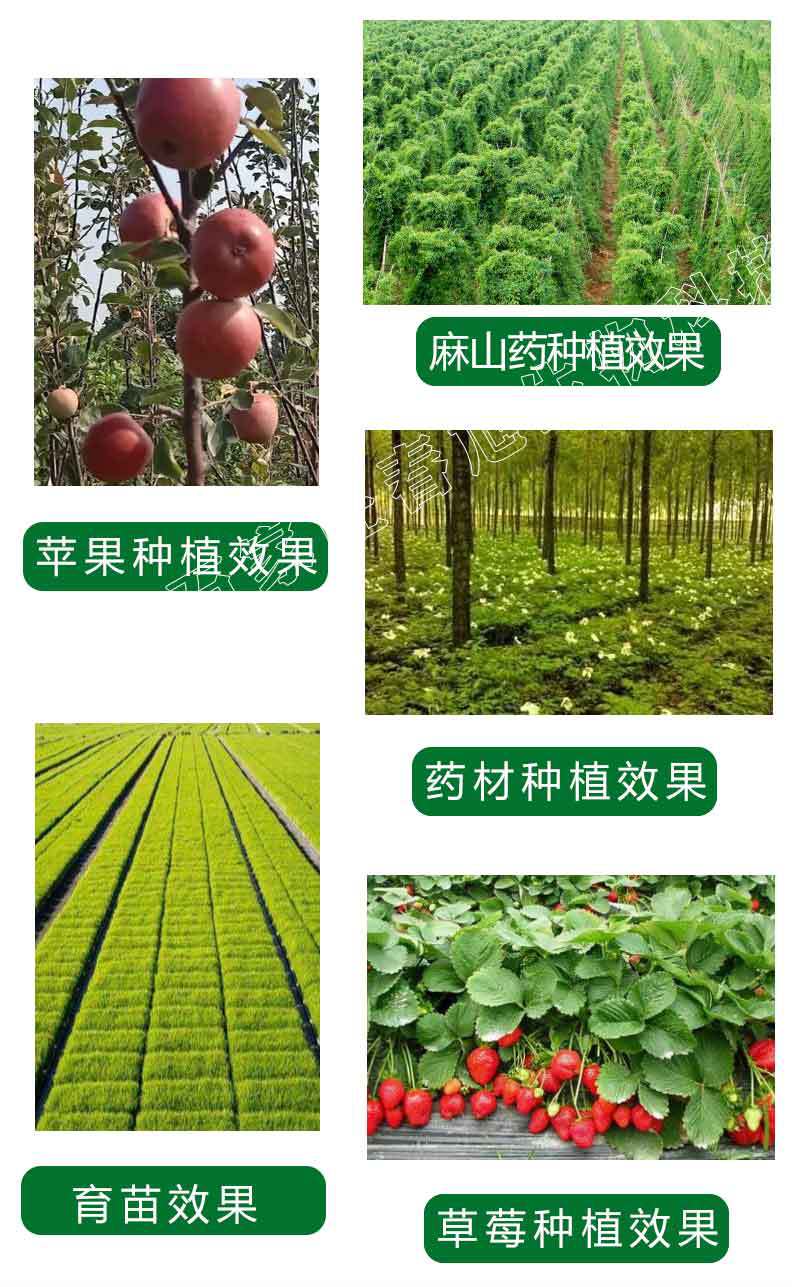 詳情頁_07.jpg