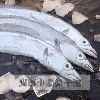 舟山捕撈帶魚10斤裝新鮮冷凍帶魚批發(fā)水產(chǎn)品刀魚整條寬帶魚禮盒裝
